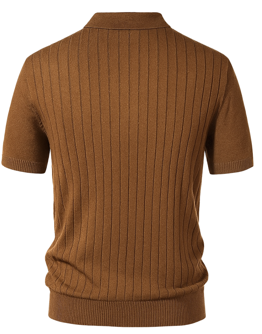 Stripe Knit Polo Shirt
